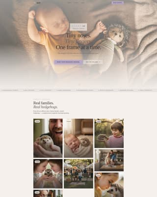 Quill - Heartwarming Hedgehog Landing Page Template