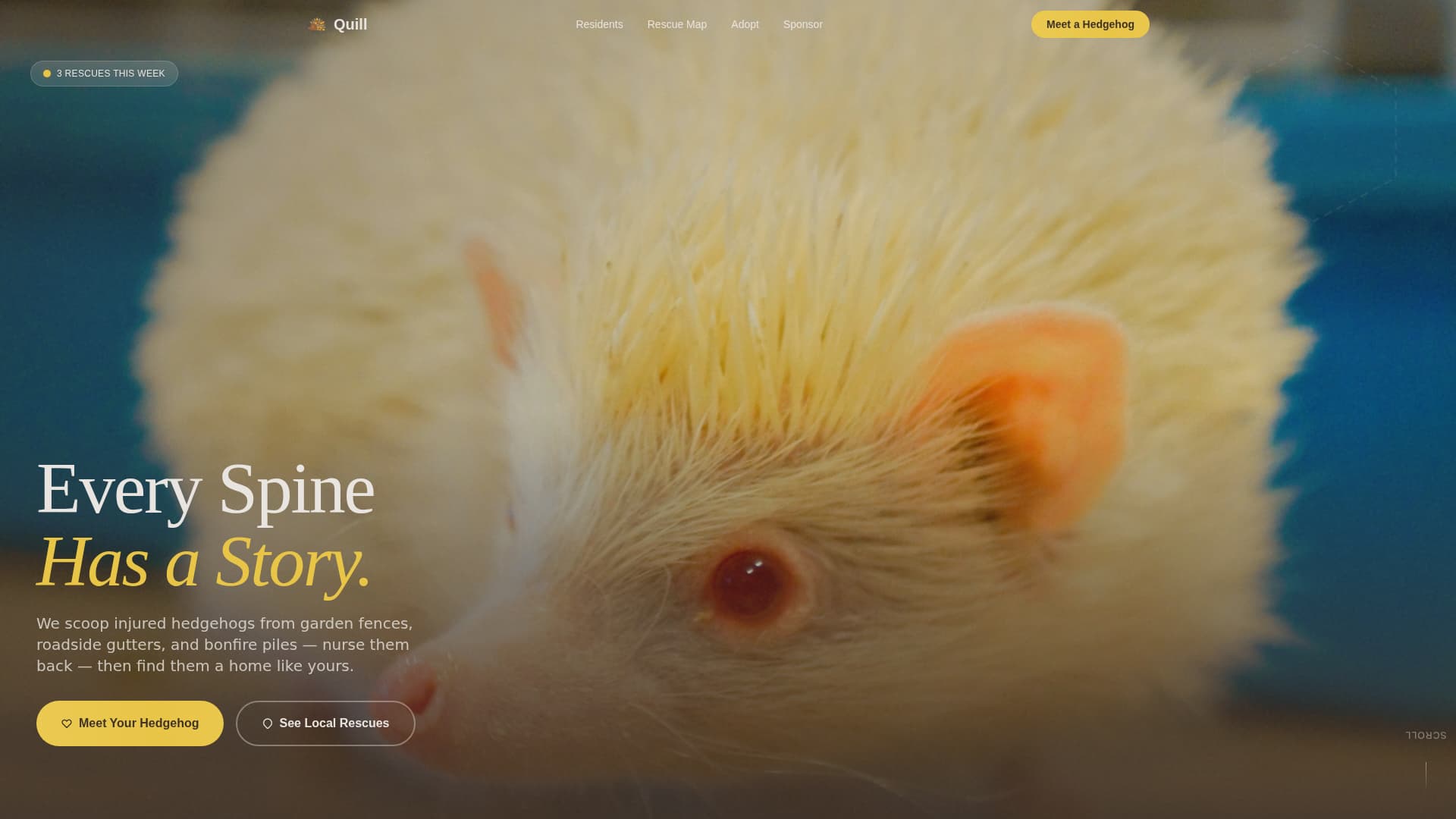 Quill - Heartwarming Hedgehog Landing Page Template