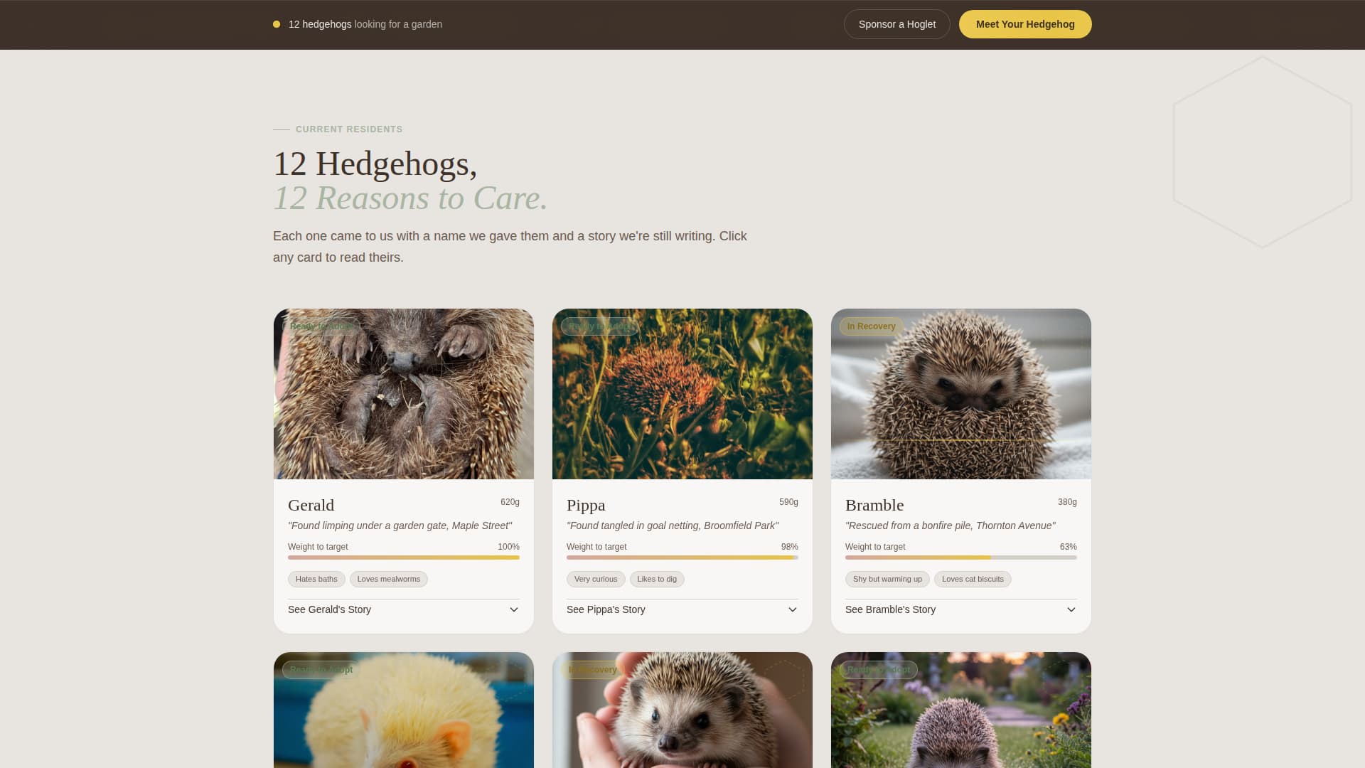 Quill - Heartwarming Hedgehog Landing Page Template