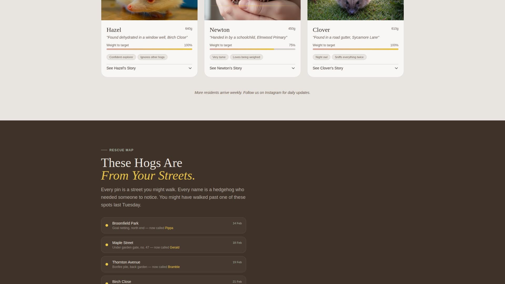 Quill - Heartwarming Hedgehog Landing Page Template