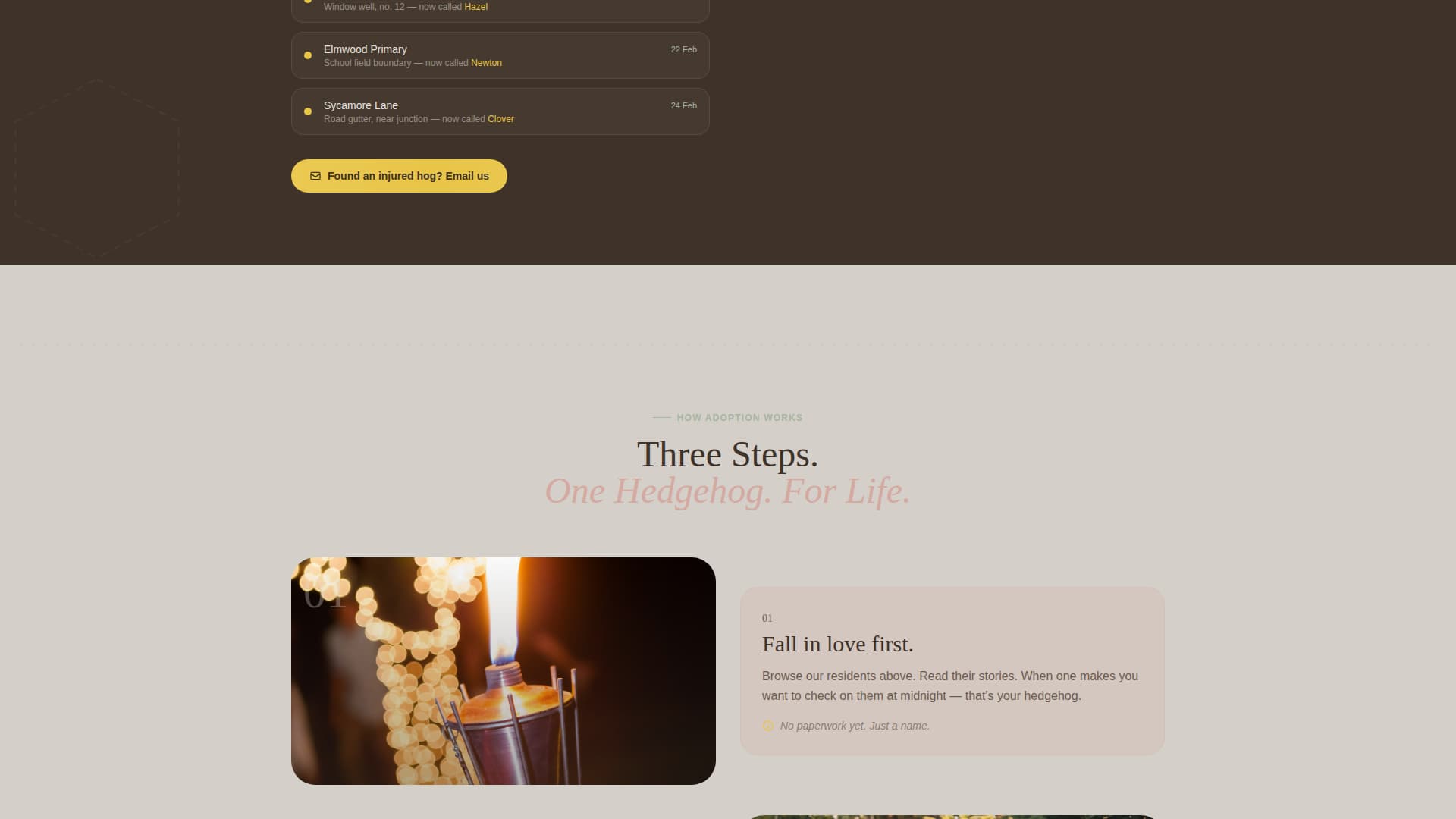 Quill - Heartwarming Hedgehog Landing Page Template
