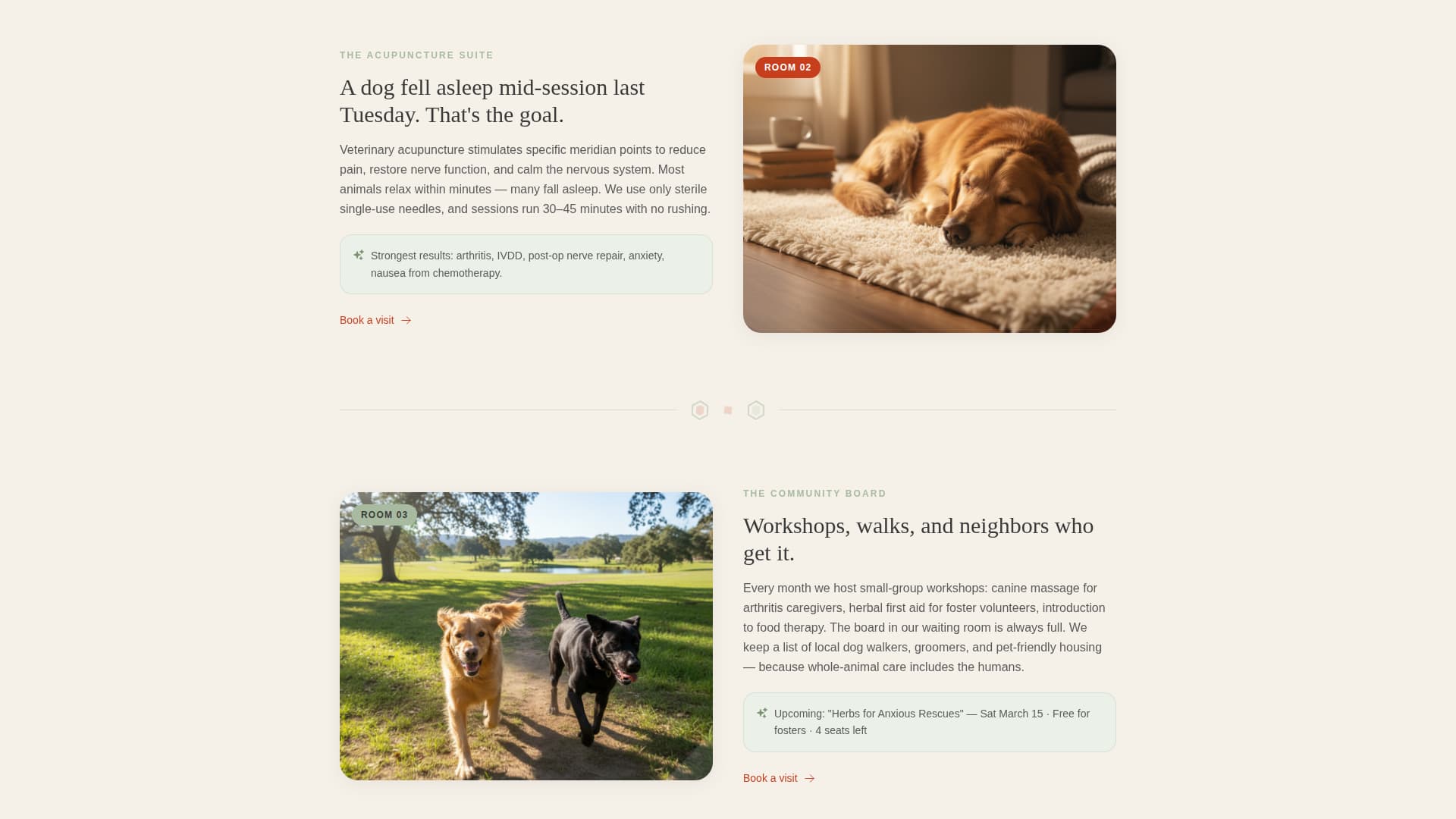 Pawprint - Holistic Veterinary Landing Page Template