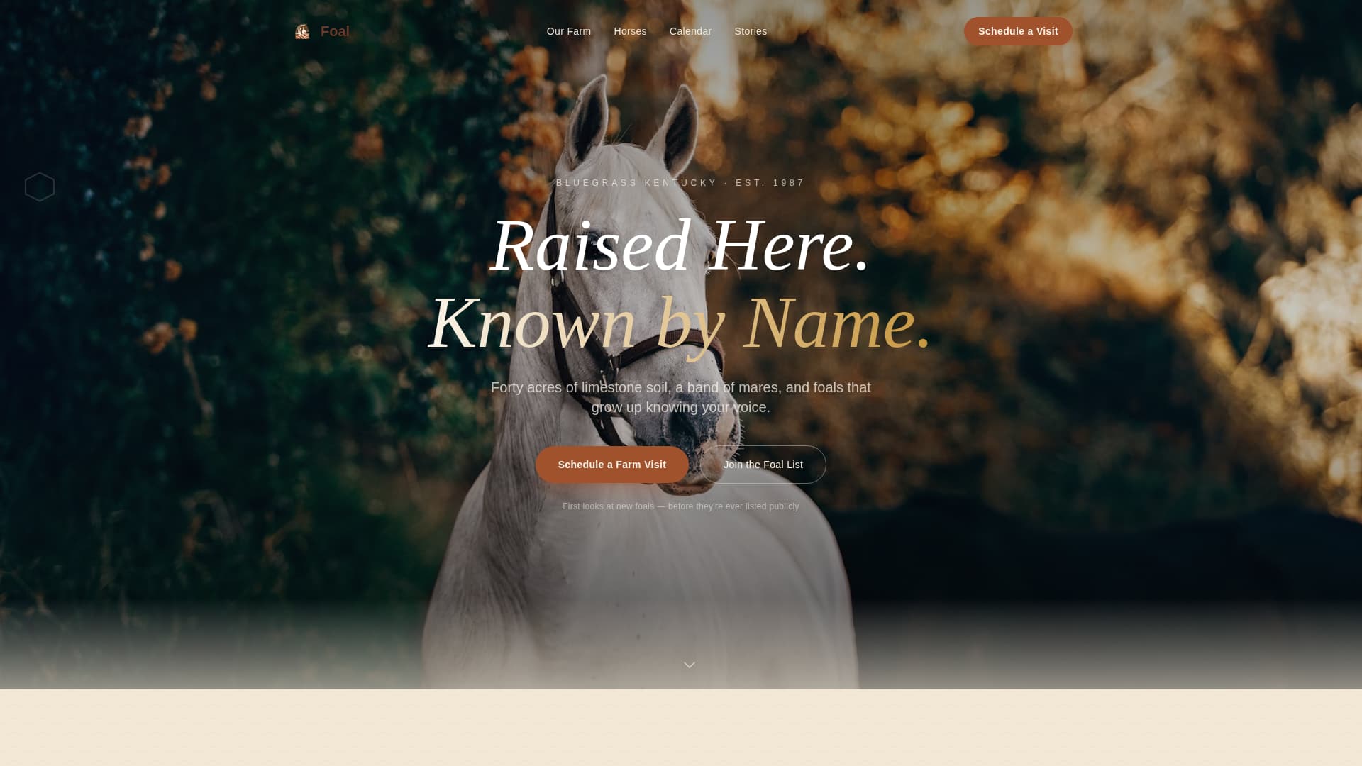 Foal - Trusted Horsebreeder Landing Page Template