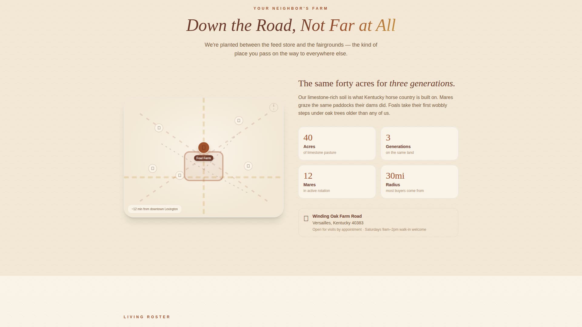 Foal - Trusted Horsebreeder Landing Page Template