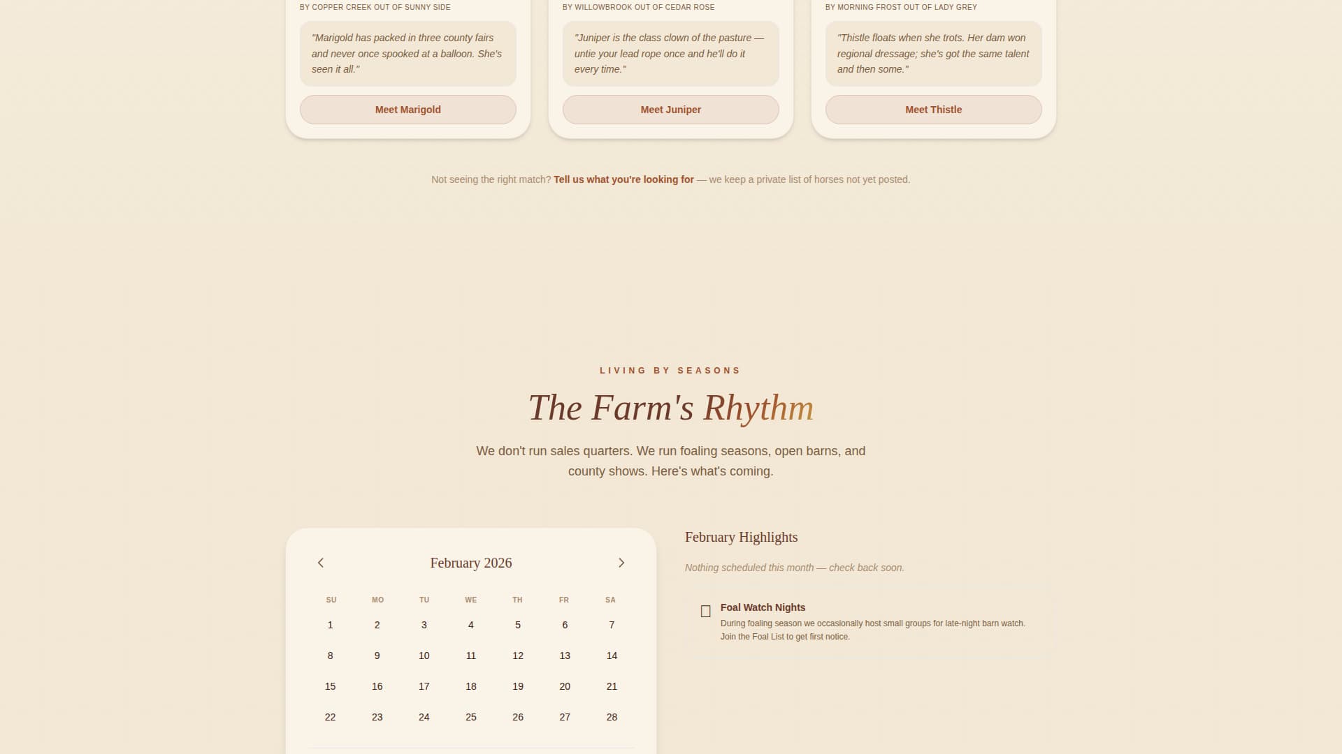 Foal - Trusted Horsebreeder Landing Page Template