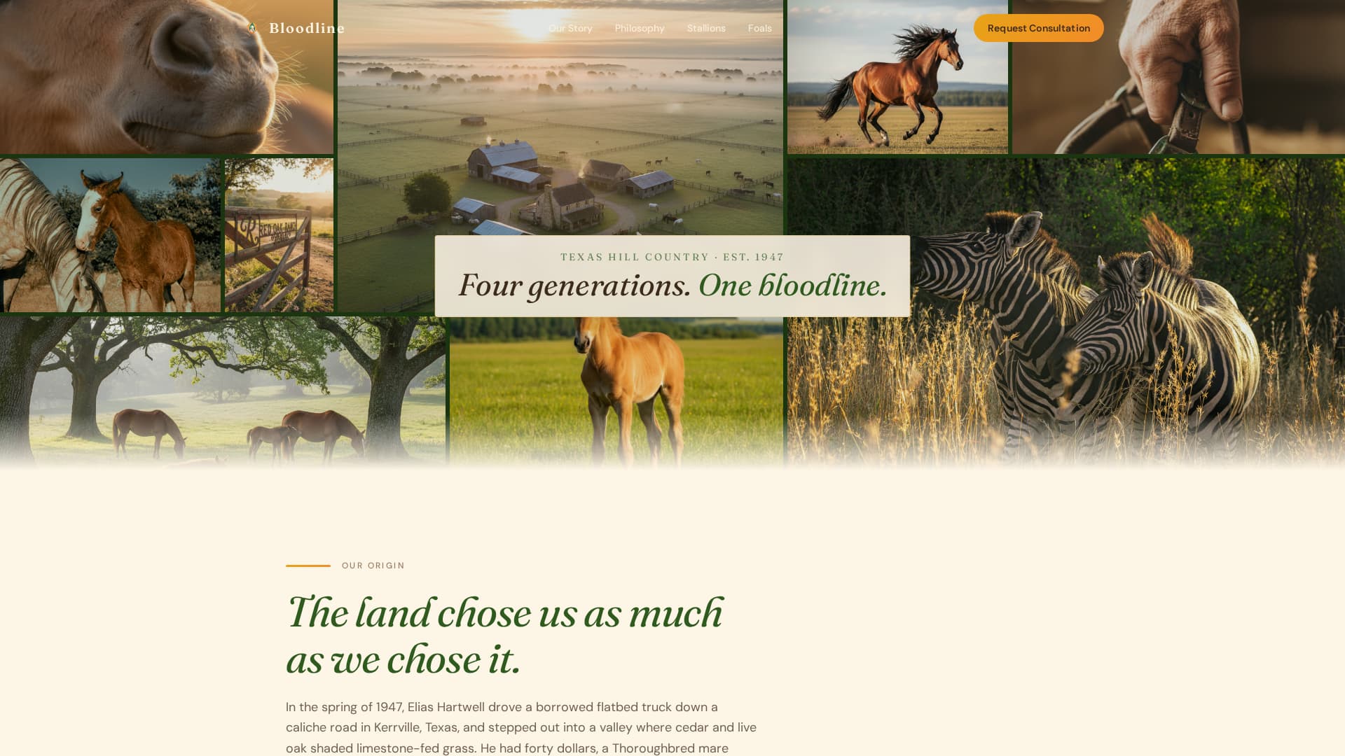 Bloodline - Timeless Equestrian Landing Page Template