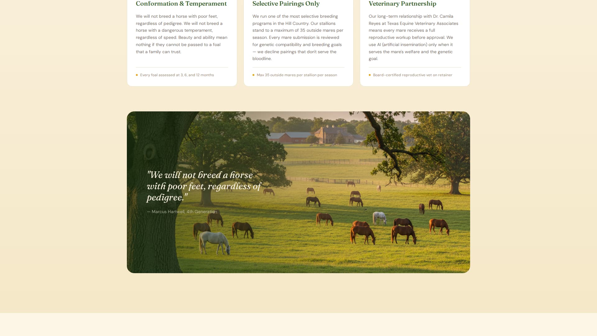 Bloodline - Timeless Equestrian Landing Page Template