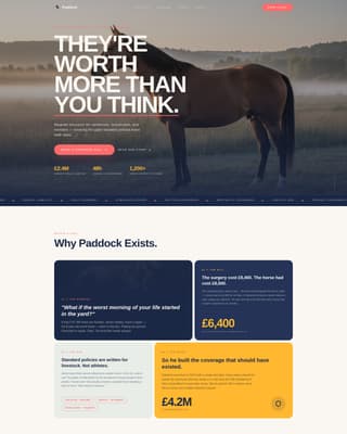 Paddock - Bold Horseinsurance Landing Page Template