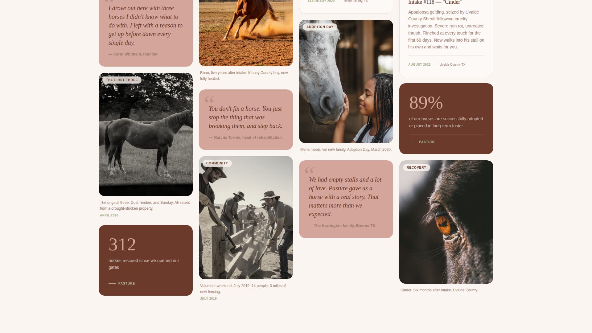 Pasture - Heartfelt Horserescue Landing Page Template