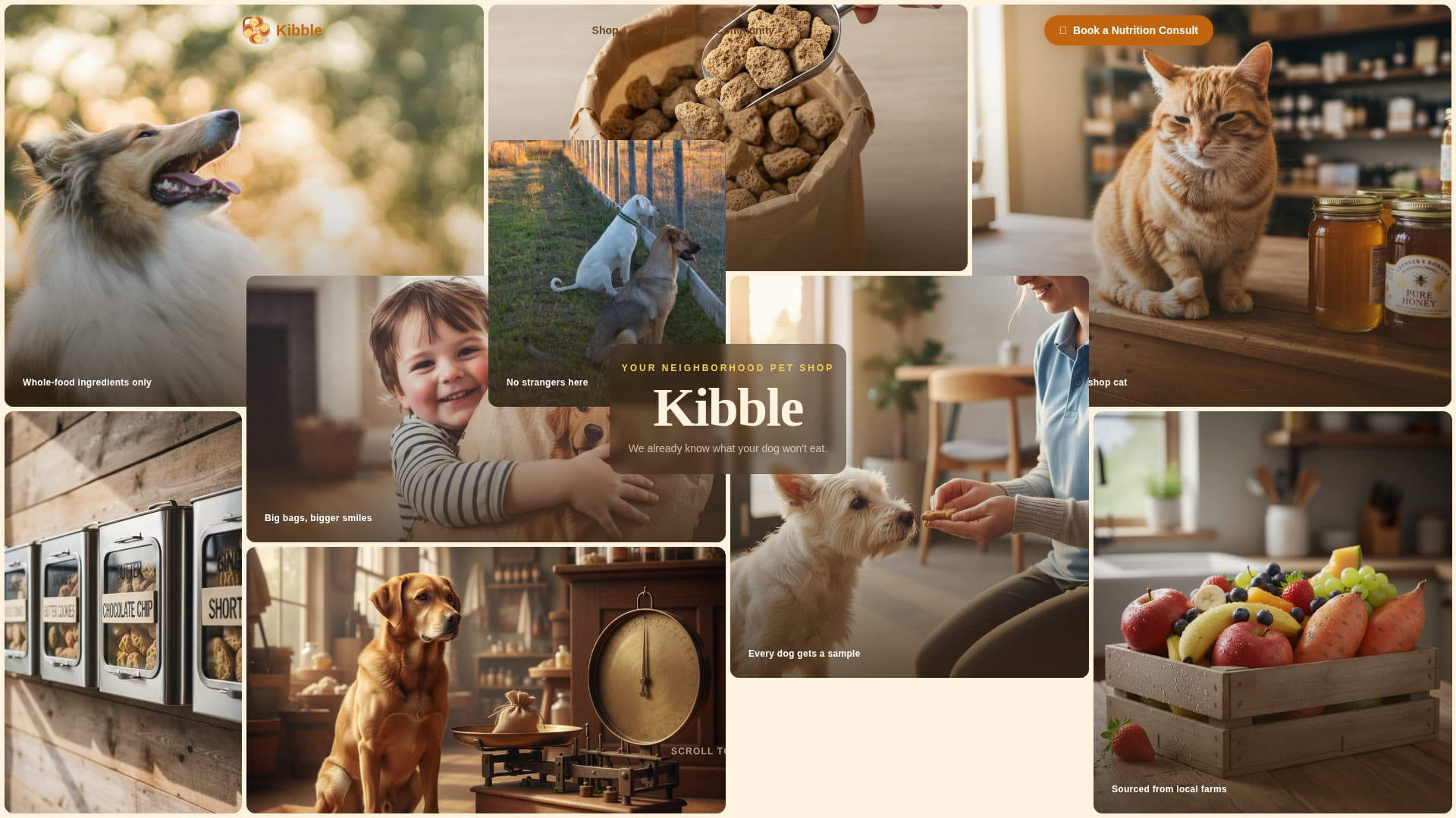 Kibble - Wholesome Petstore Landing Page Template