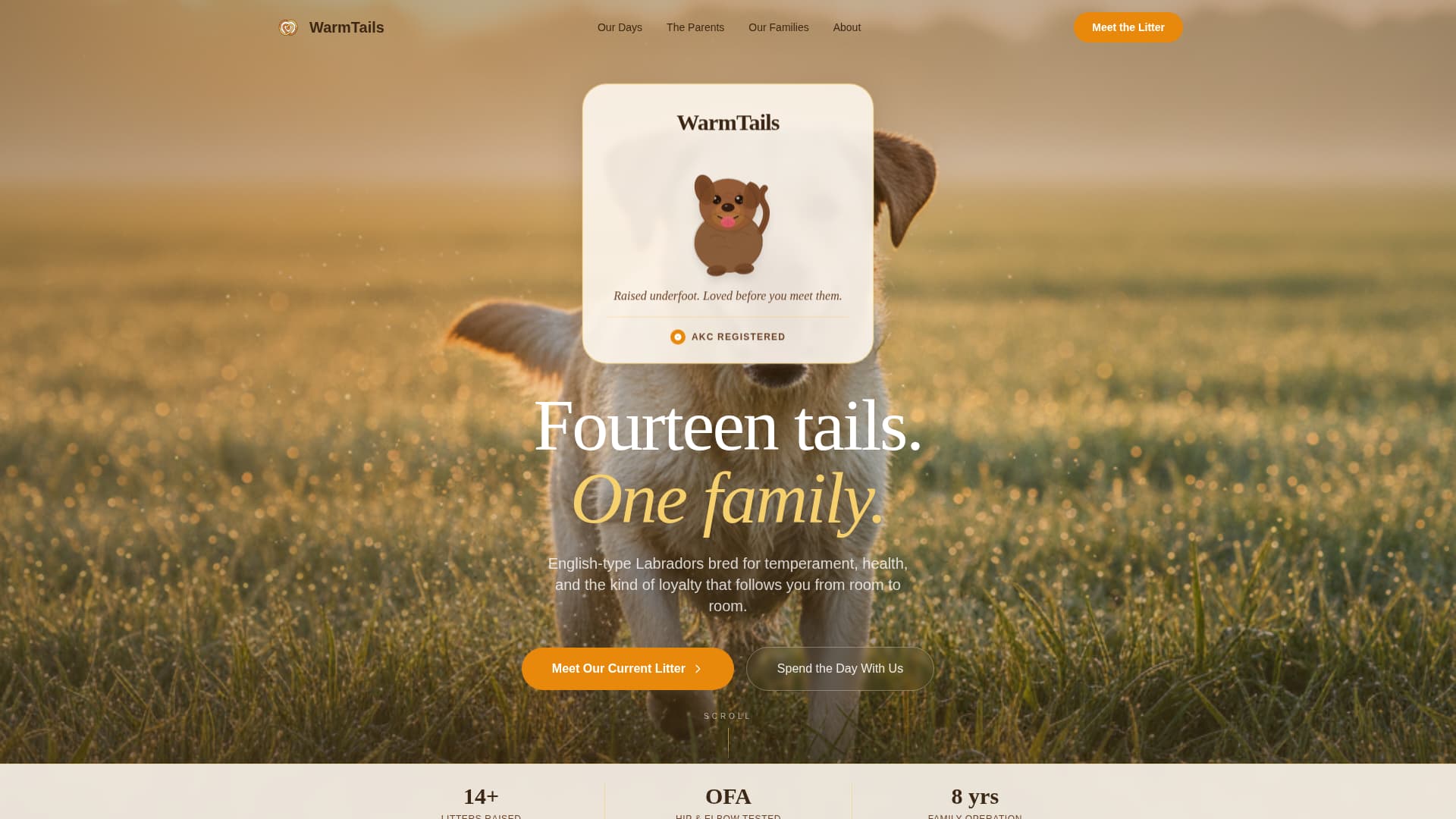 Dog Online Reviews Website Template