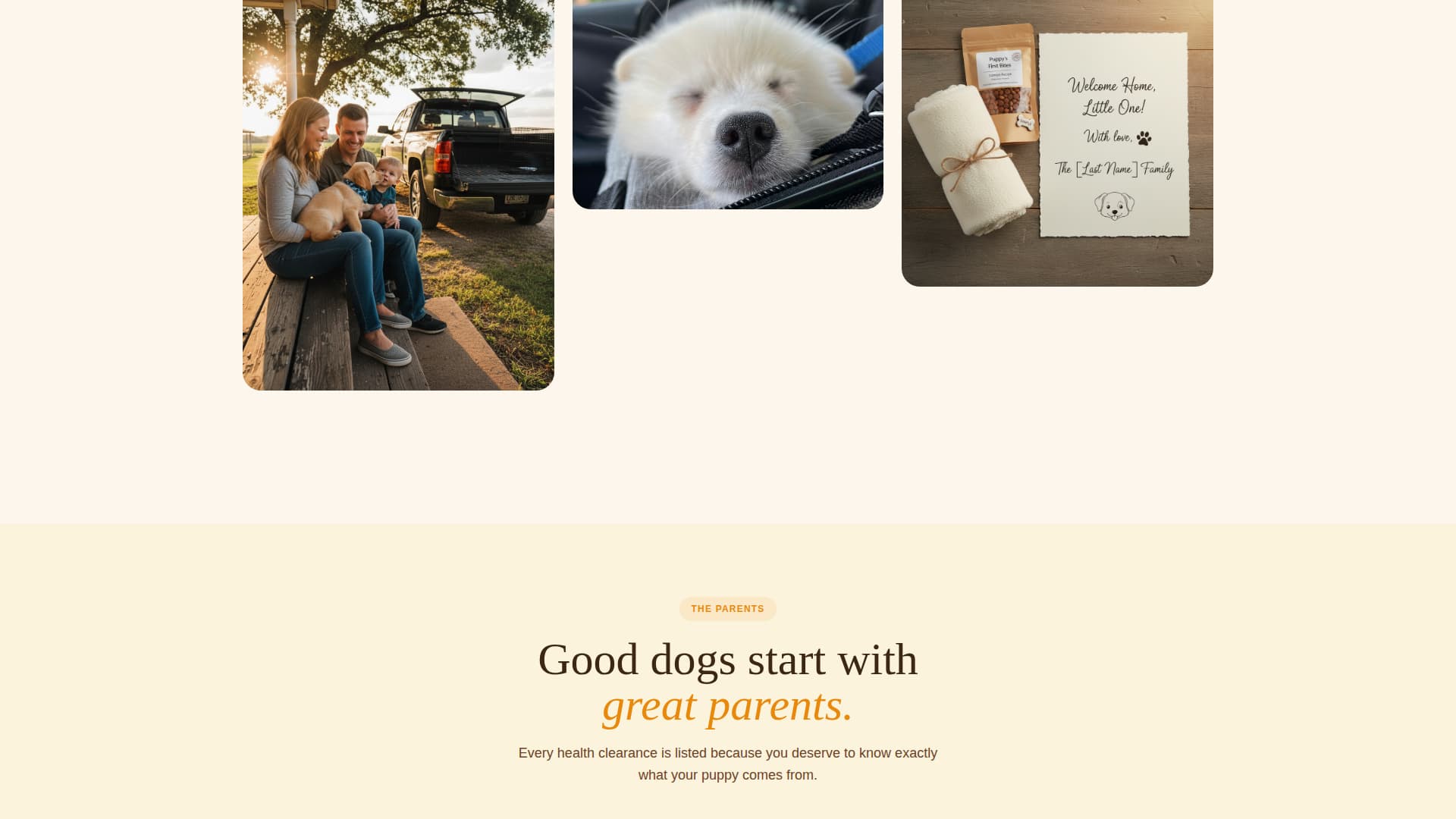 Dog Online Reviews Website Template