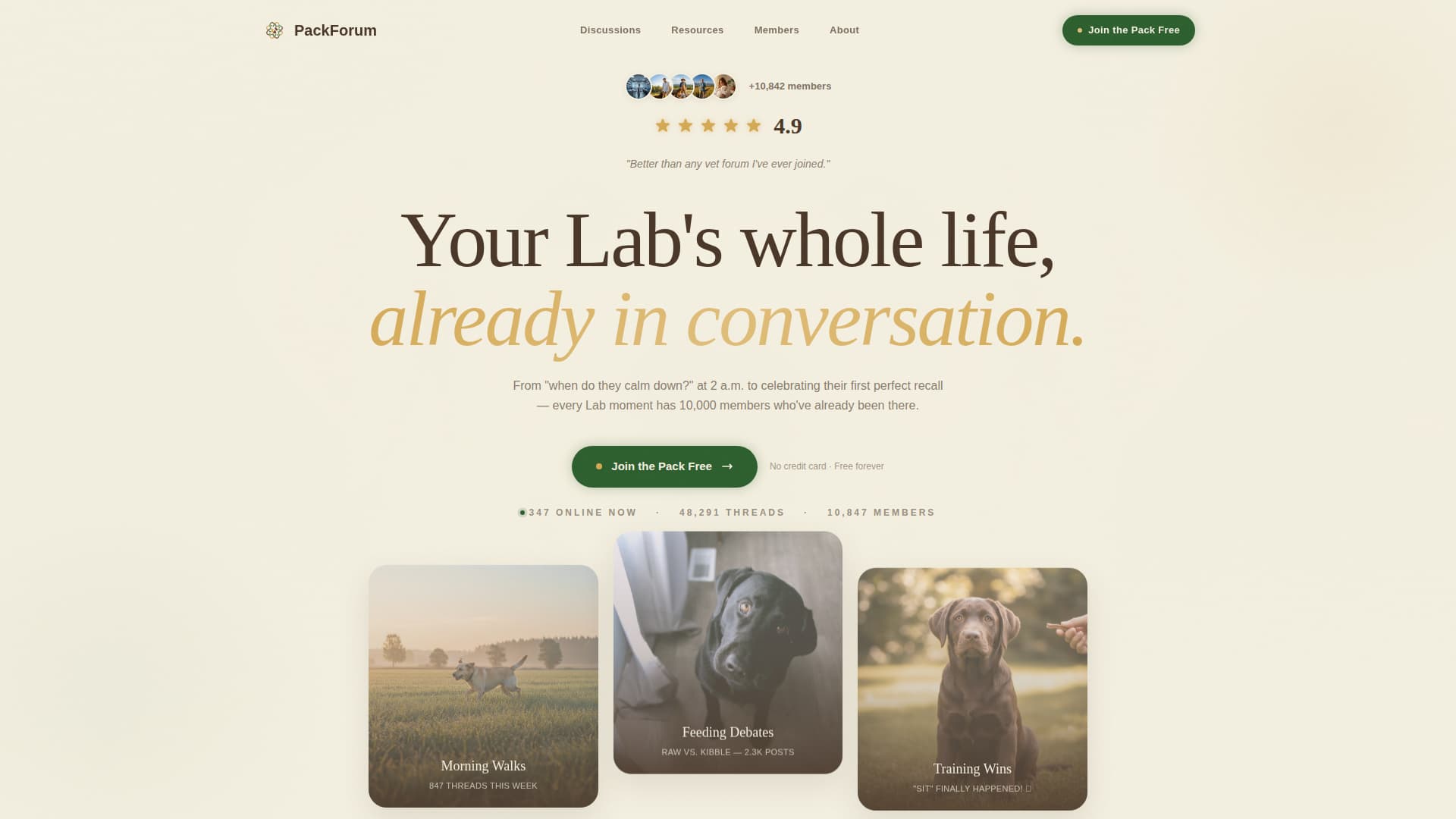 Dog Virtual Reviews Website Template