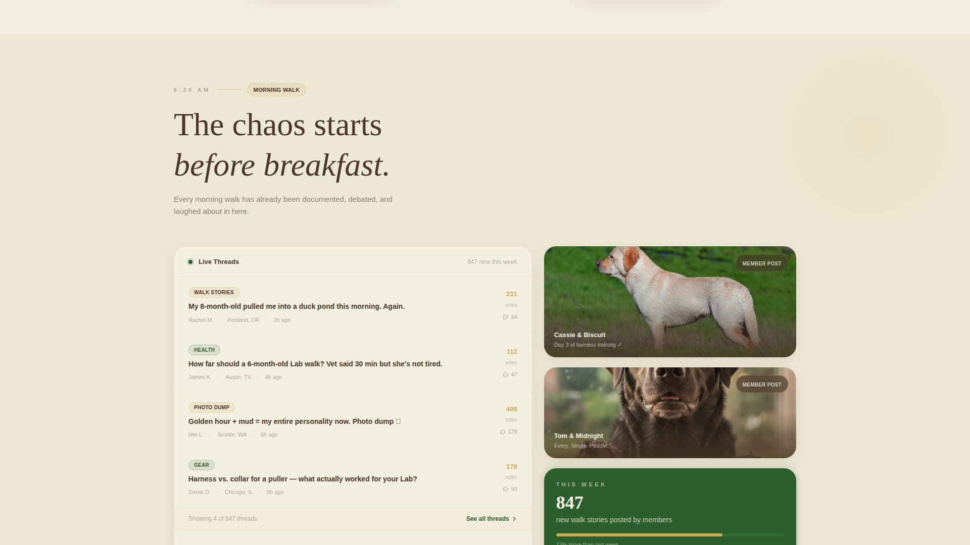Dog Virtual Reviews Website Template