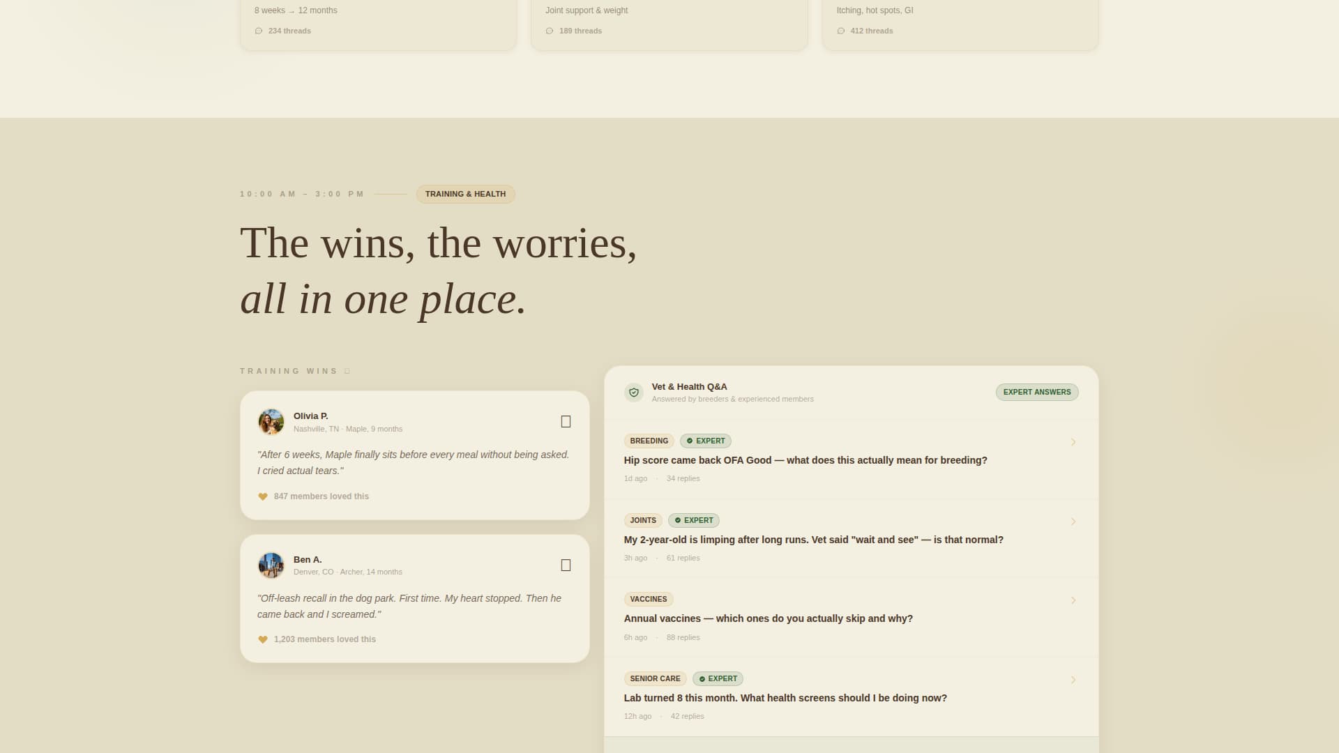 Dog Virtual Reviews Website Template