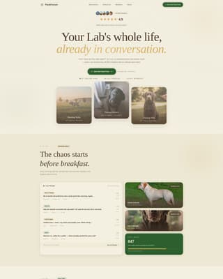 Dog Virtual Reviews Website Template