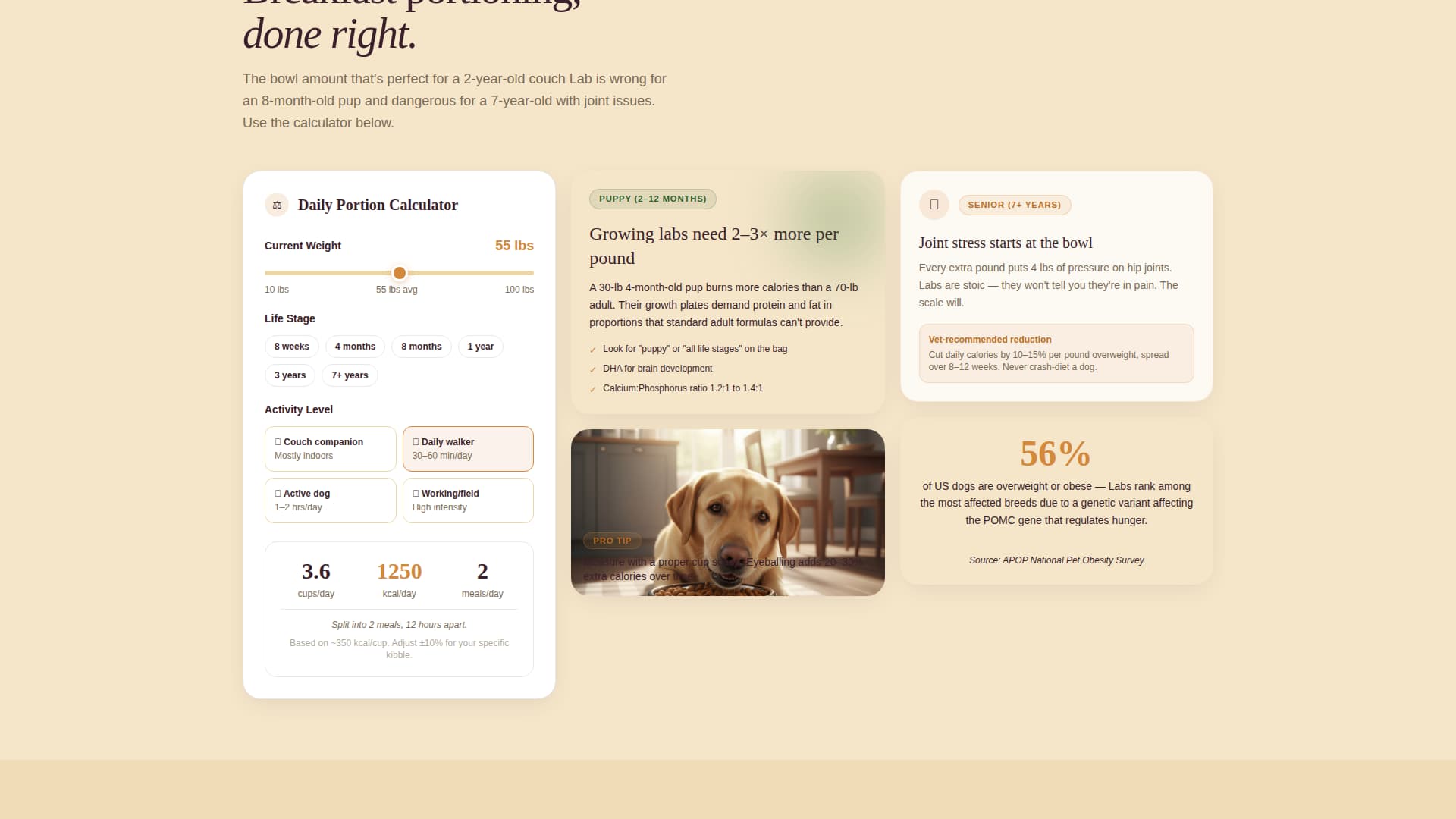 Dog Cost Calculator Website Template