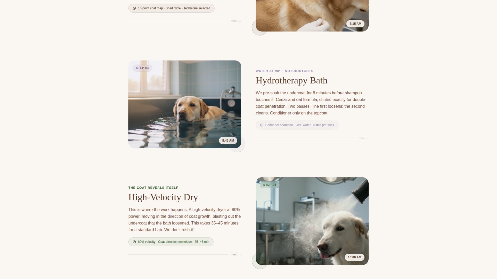 Dog Booking Website Template