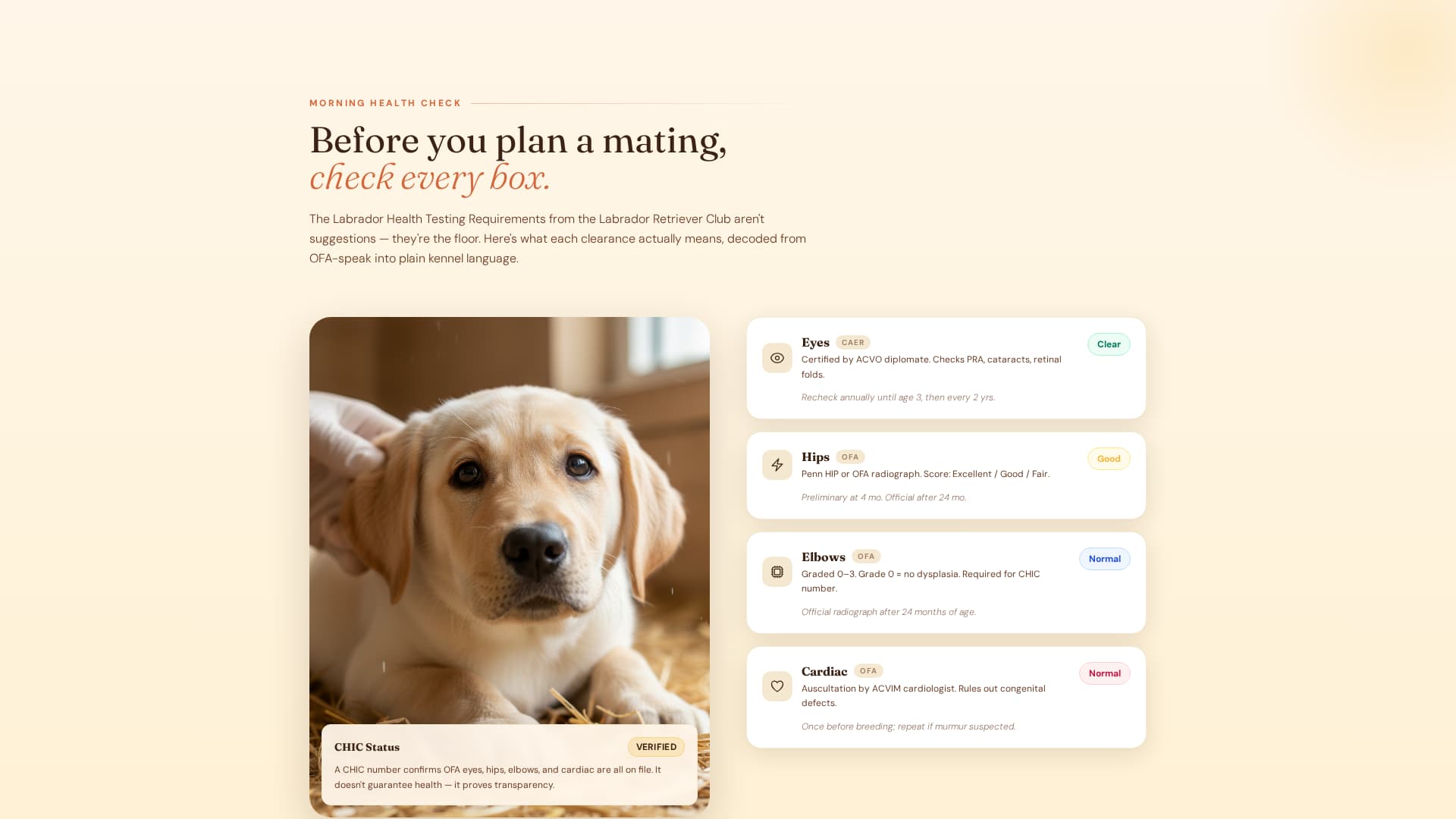 Dog Local Directory Website Template