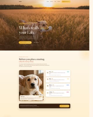 Dog Local Directory Website Template