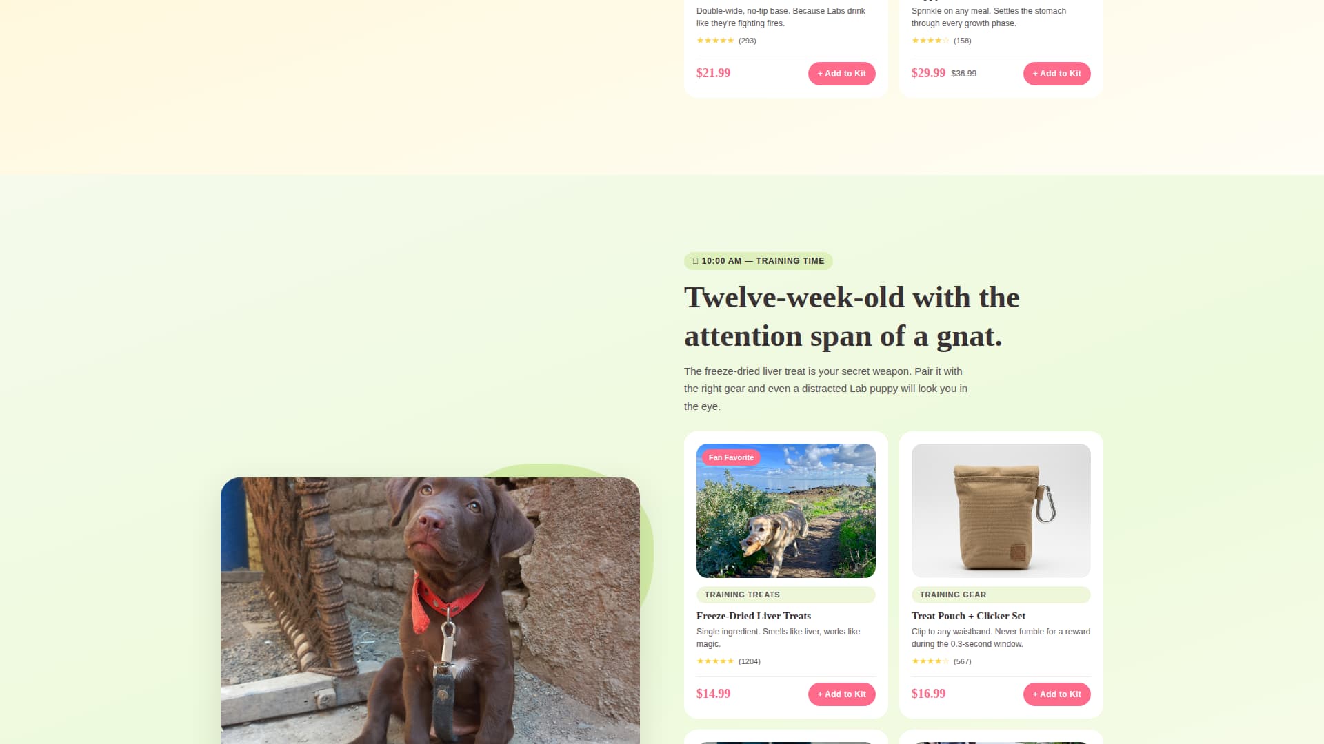 Dog Professional Website Template