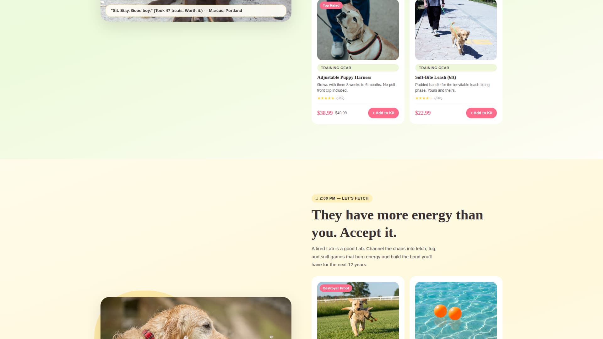 Dog Professional Website Template