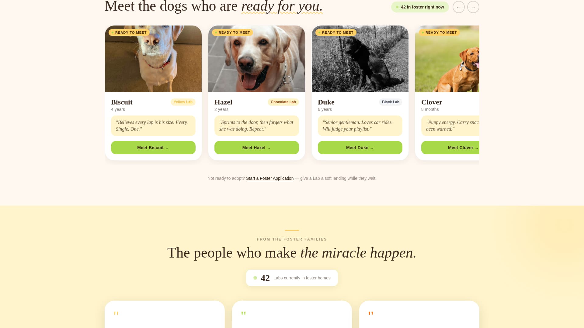 Dog Booking Website Template