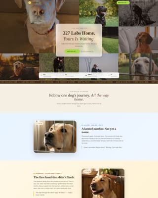 Dog Booking Website Template