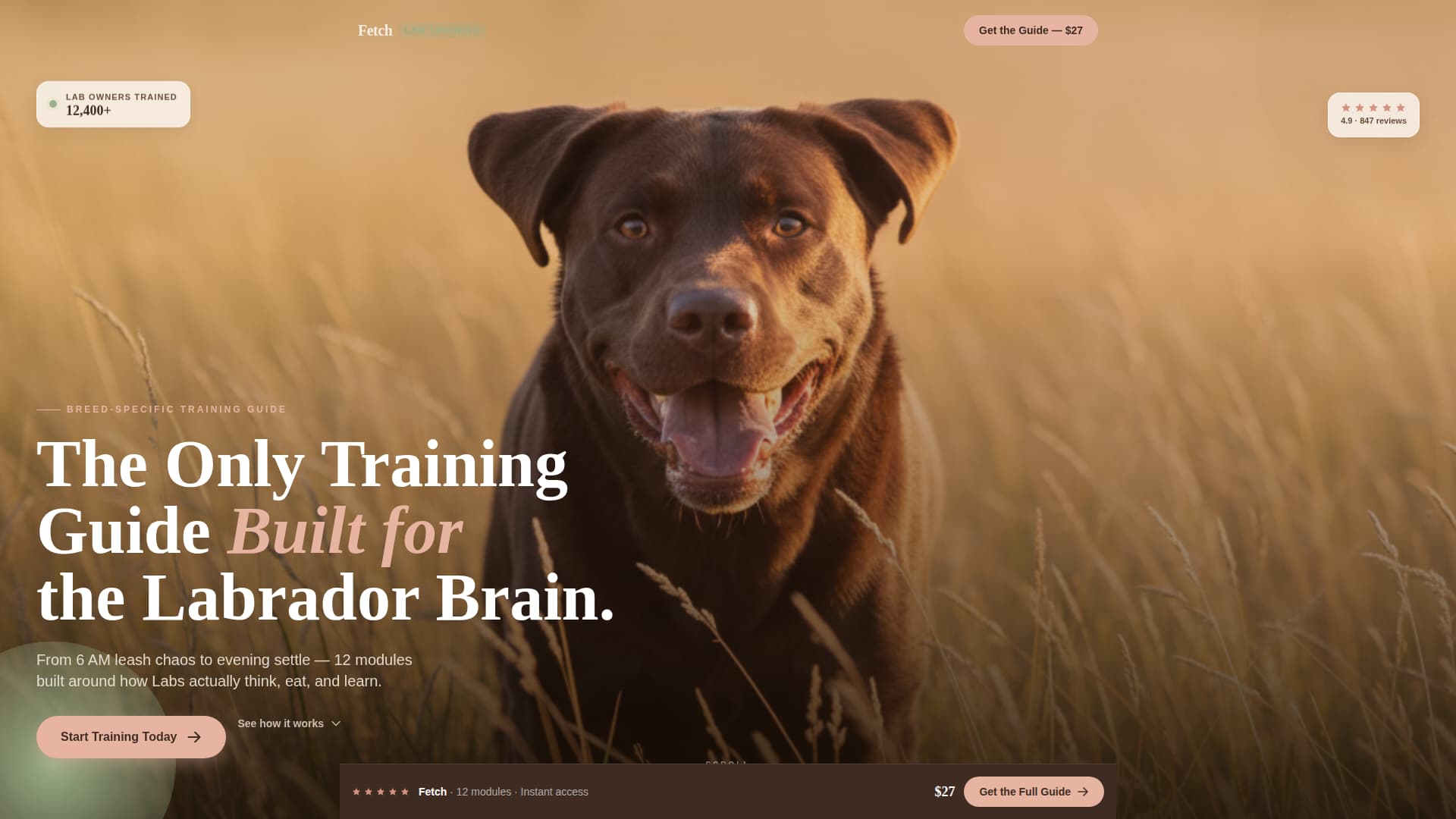Dog Professional Website Template
