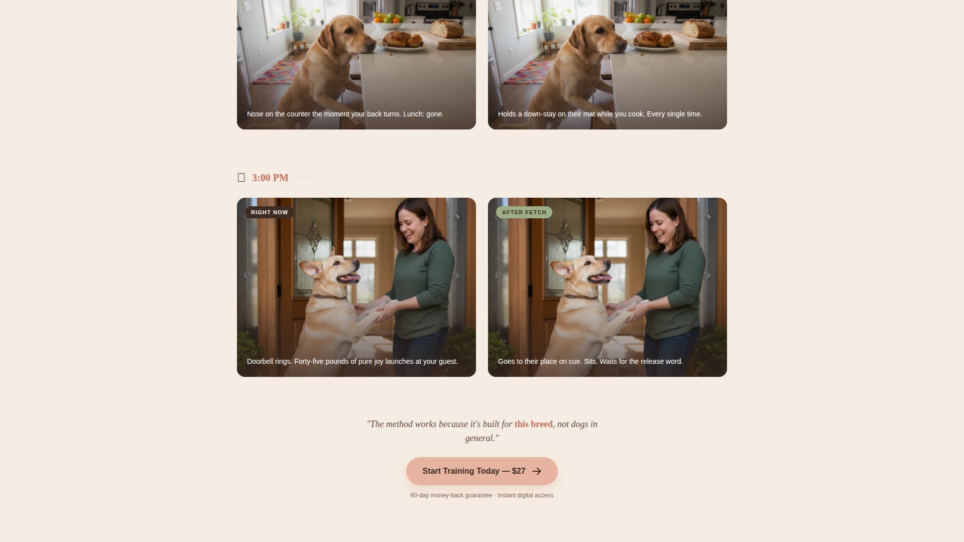 Dog Professional Website Template