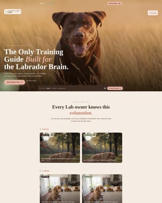 Dog Professional Website Template