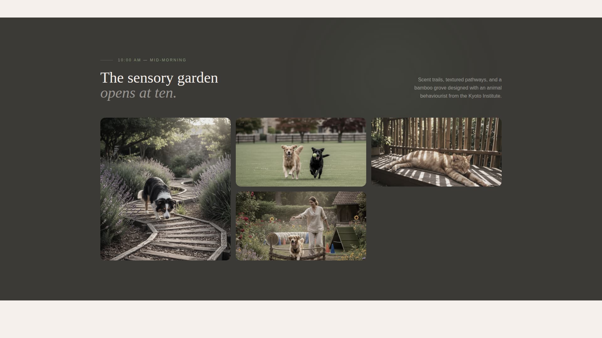 Haven - Serene Petresort Landing Page Template