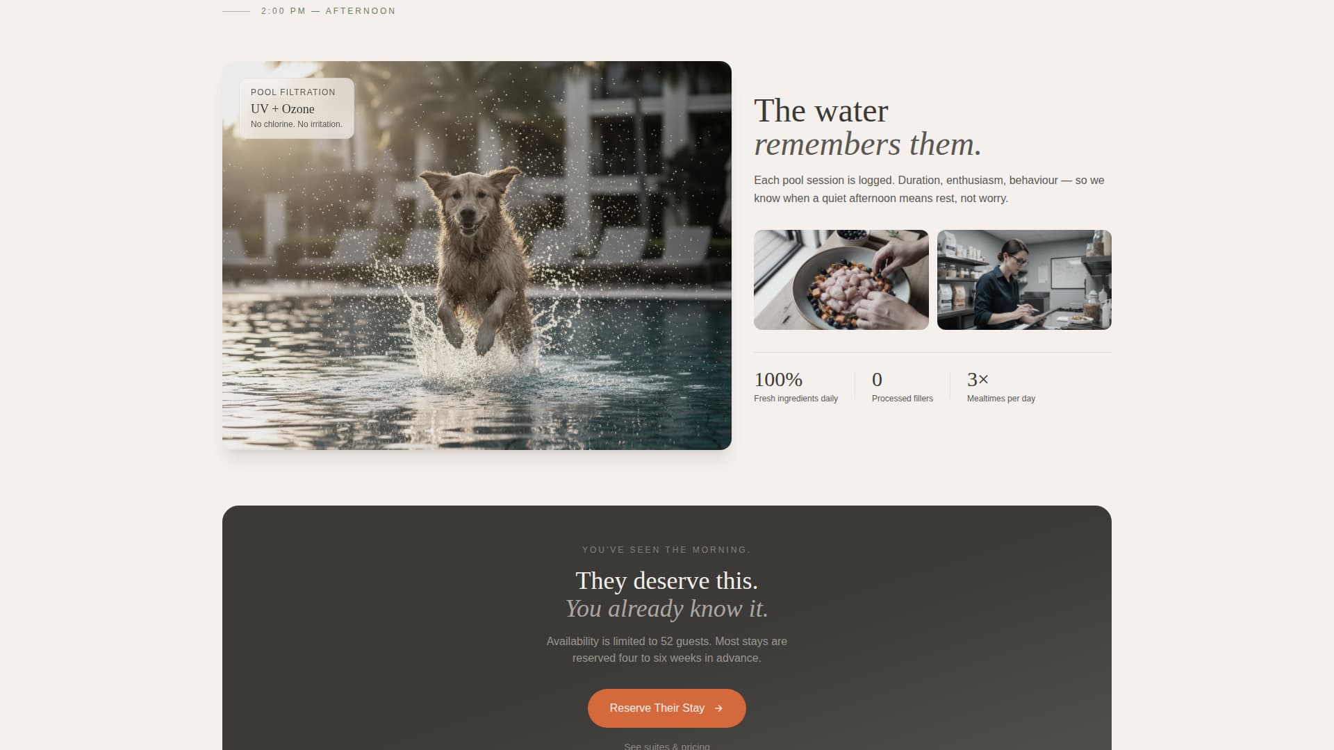 Haven - Serene Petresort Landing Page Template