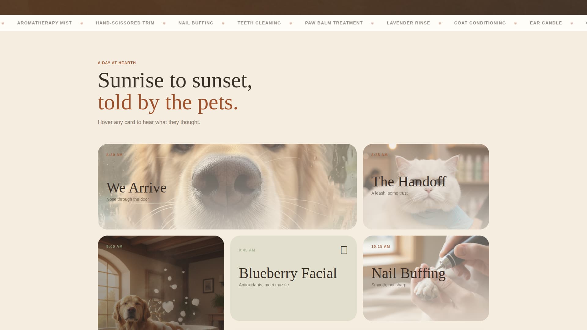 Hearth - Luxurious Petspa Landing Page Template