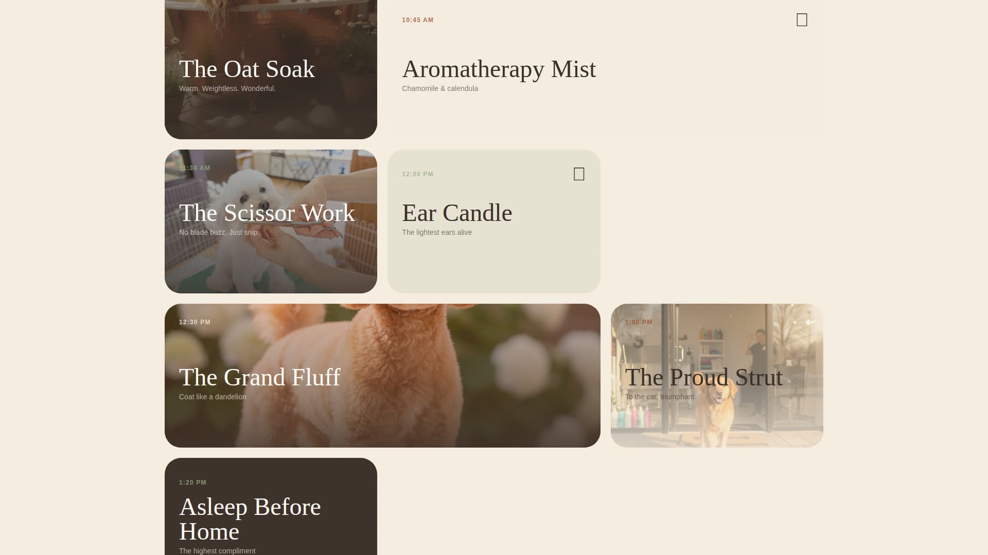 Hearth - Luxurious Petspa Landing Page Template