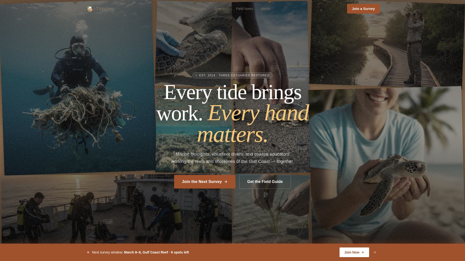 Tideline - Artisan Conservation Landing Page Template