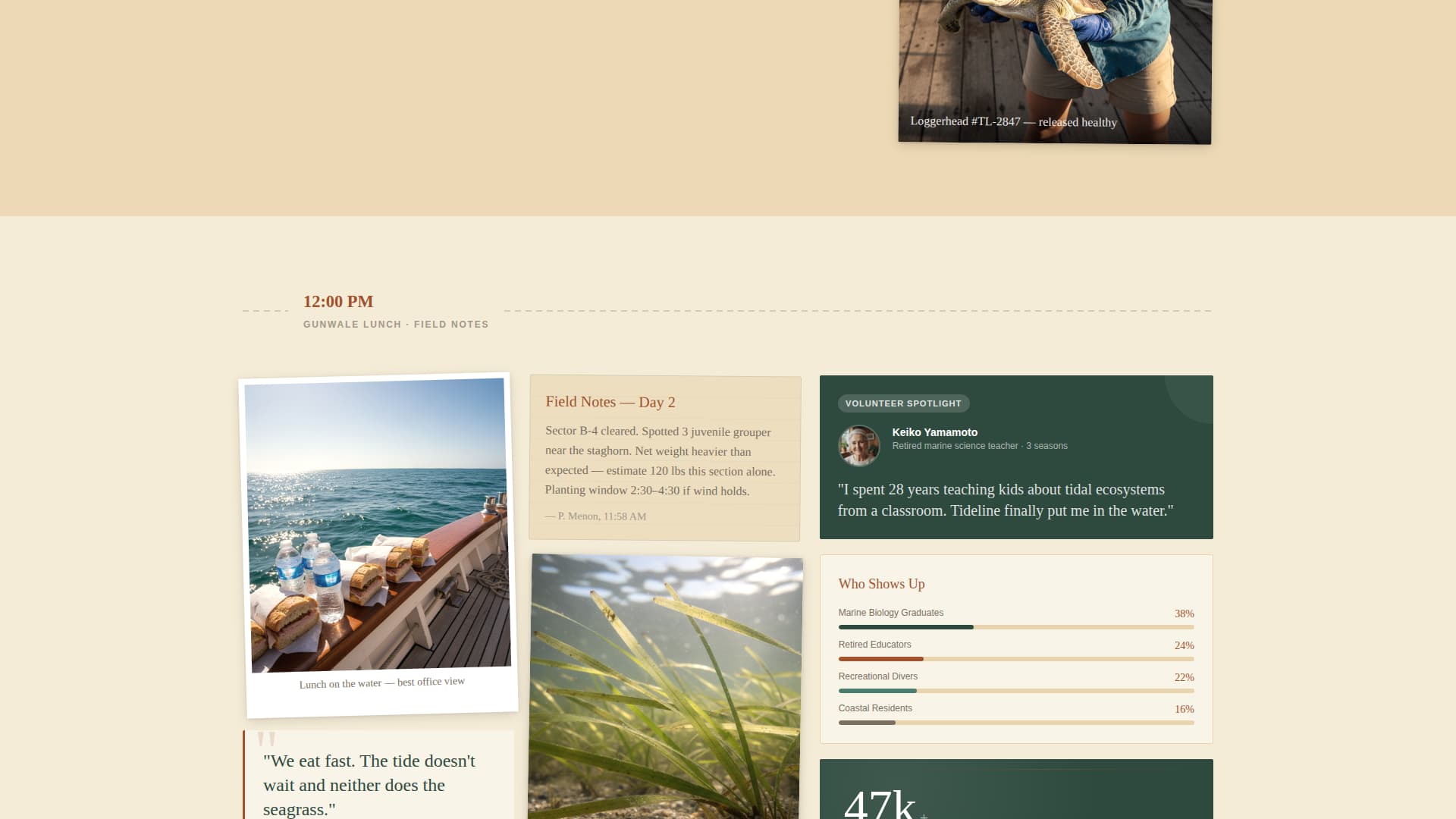 Tideline - Artisan Conservation Landing Page Template