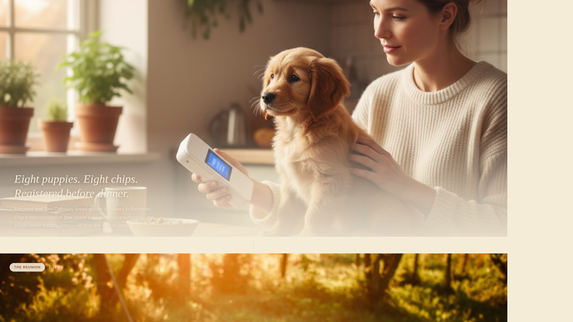 Chip - Trusted Pettech Landing Page Template