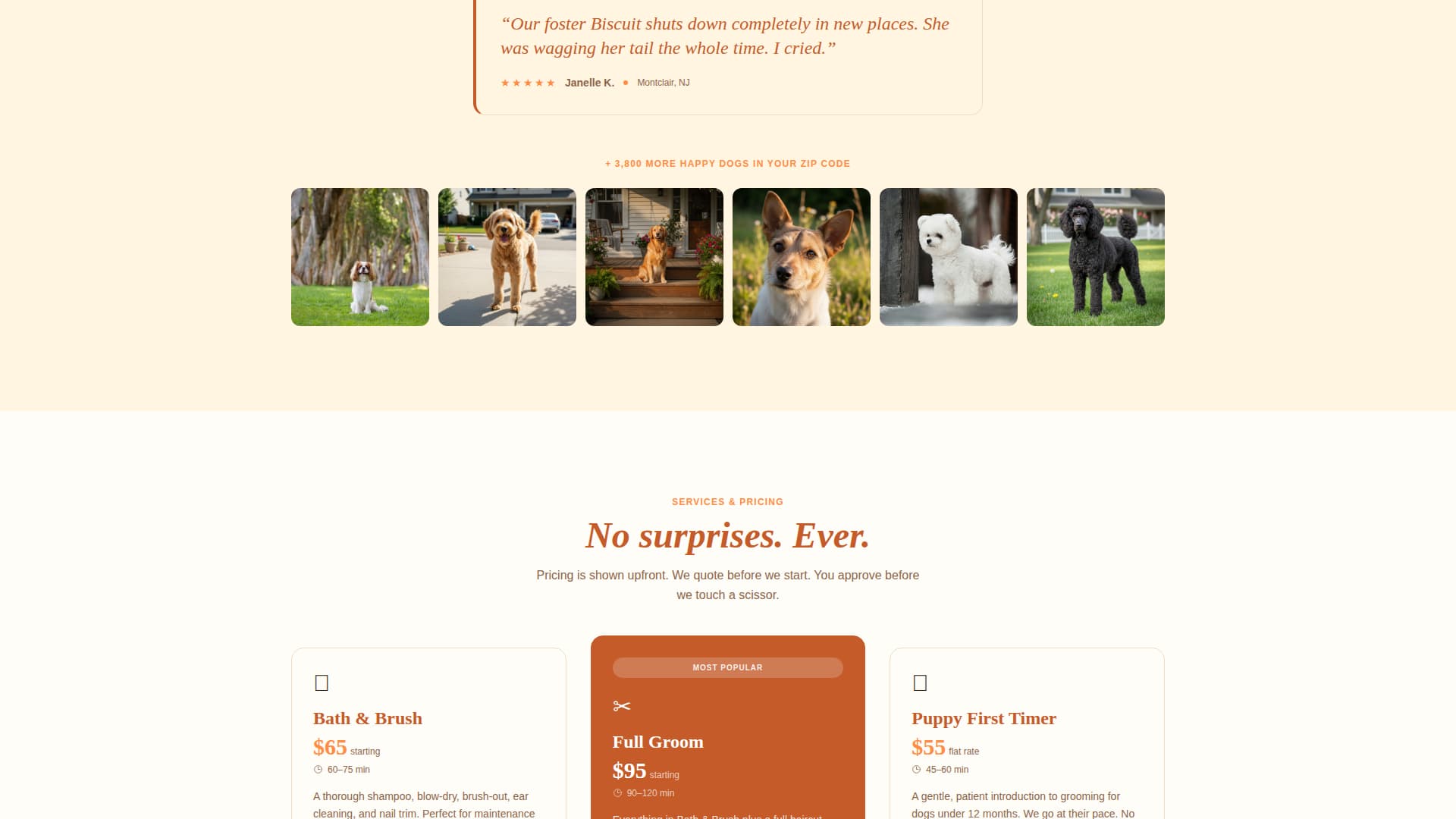 Groom - Trusted Mobilegrooming Landing Page Template