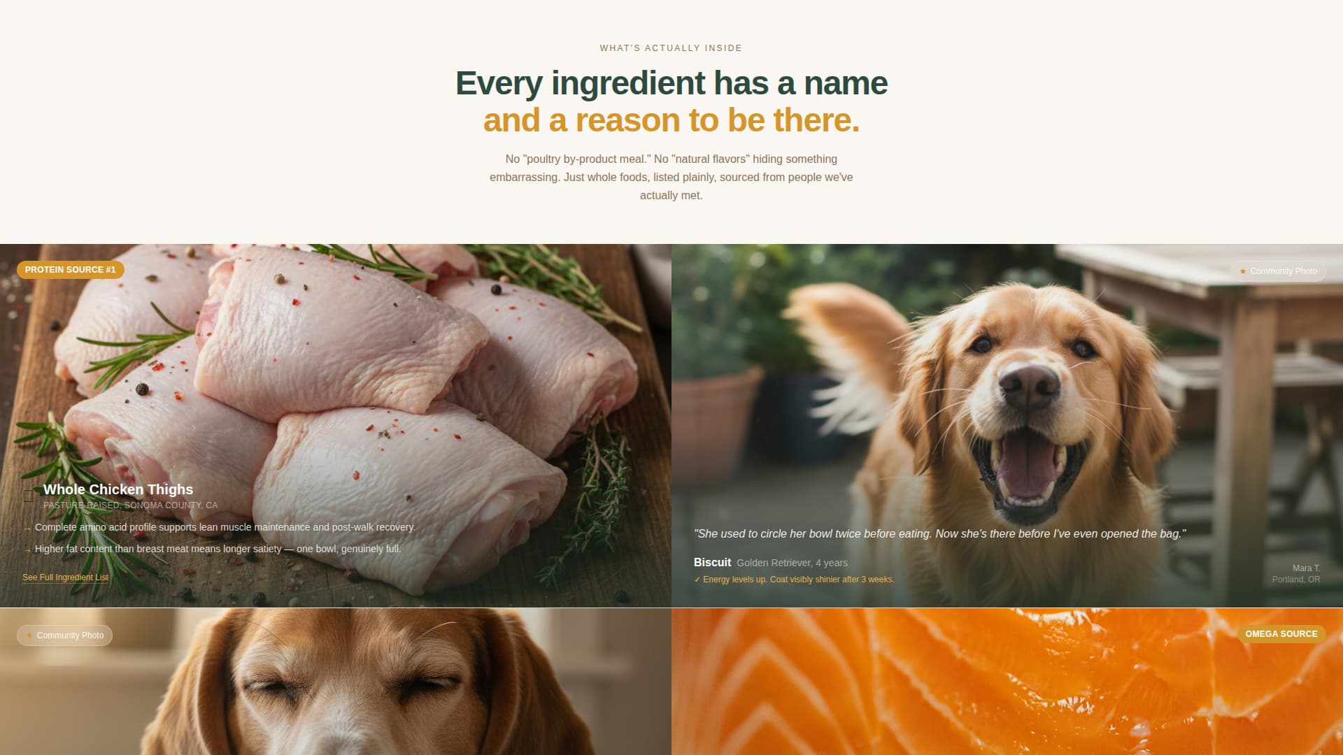 Kibble - Wholesome Petfood Landing Page Template