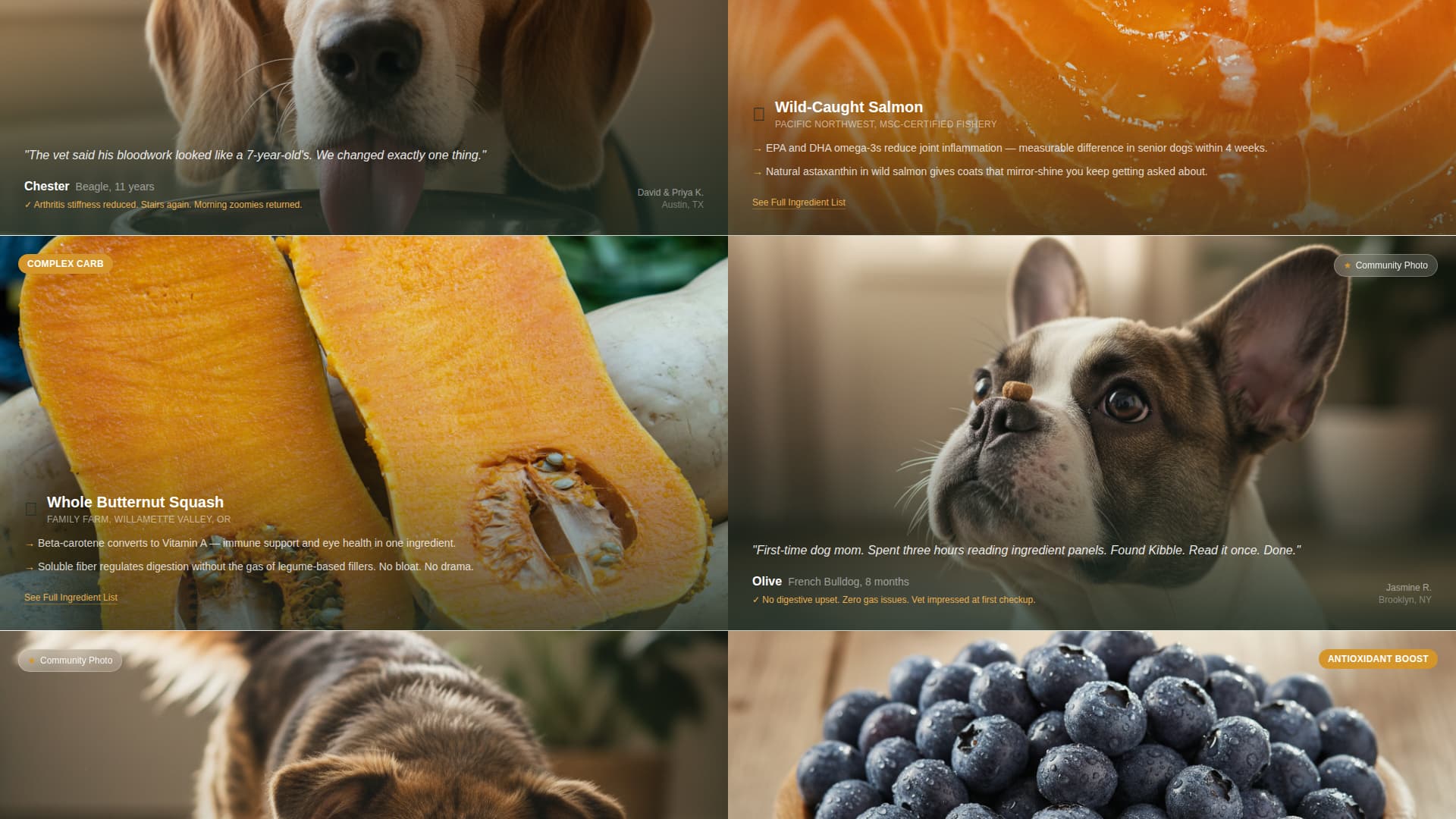 Kibble - Wholesome Petfood Landing Page Template