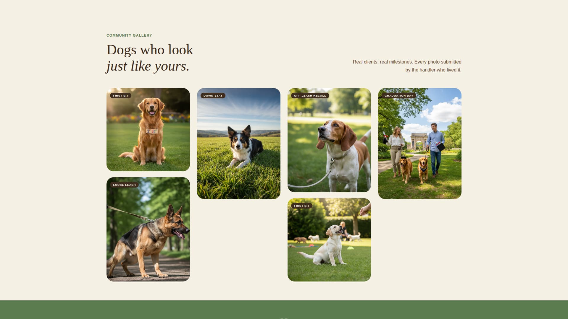 Heel - Trusted Obedience Landing Page Template
