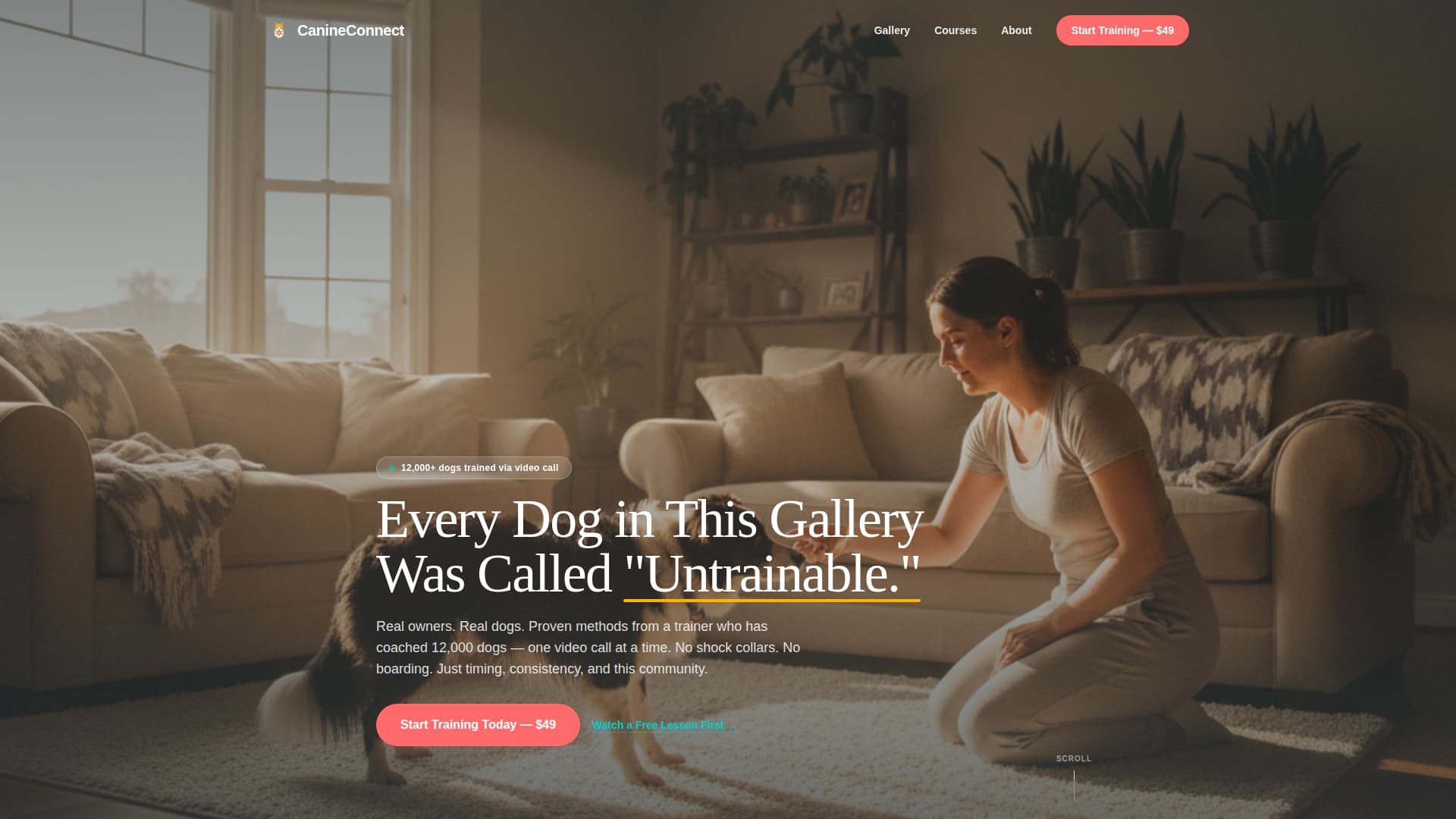 Heel - Rewarding Dogtraining Landing Page Template