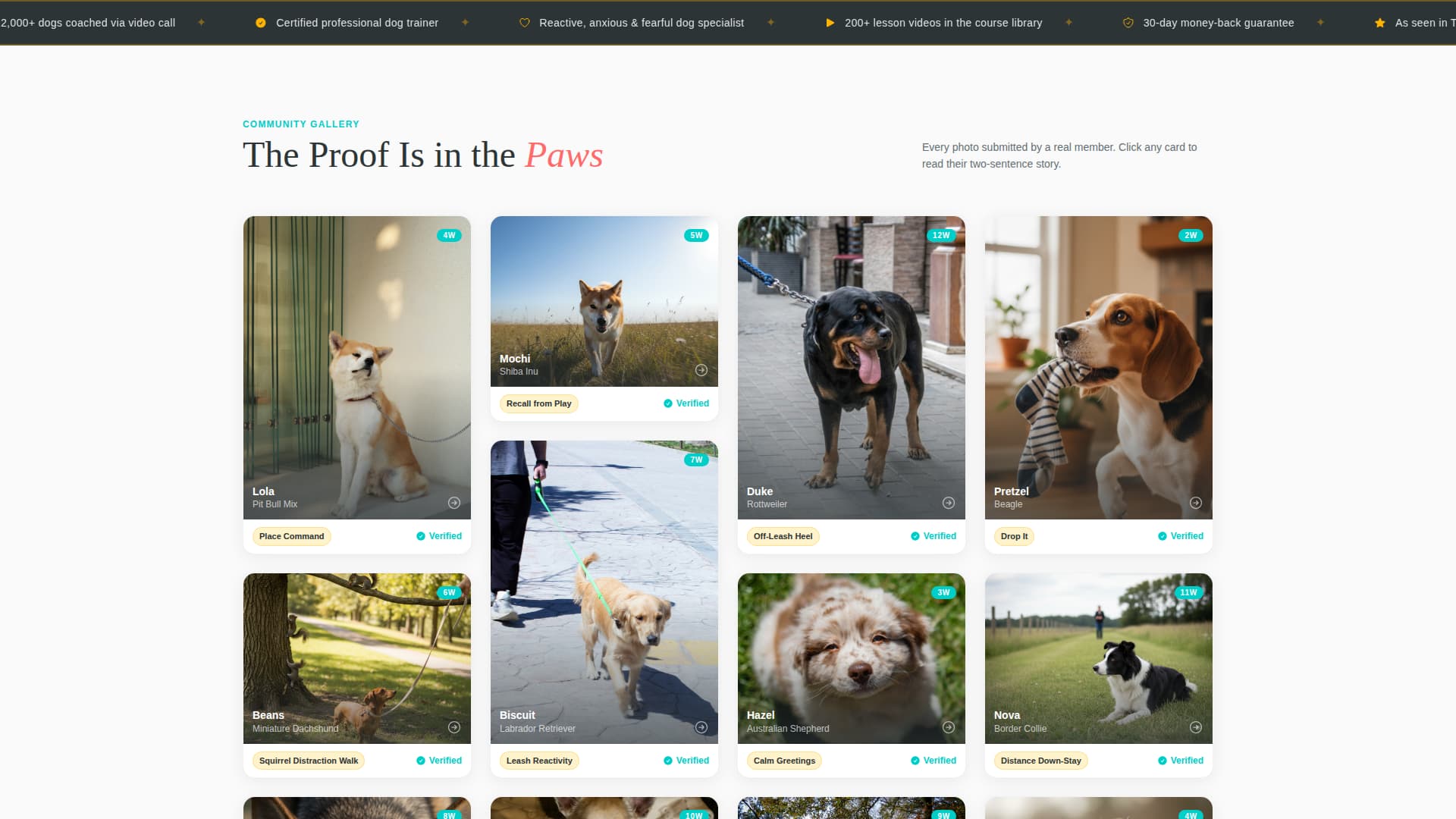 Heel - Rewarding Dogtraining Landing Page Template