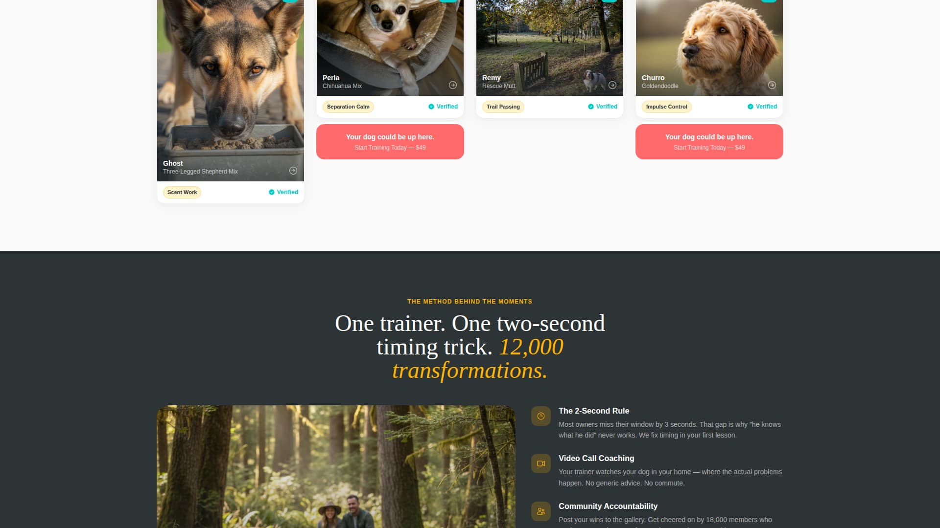 Heel - Rewarding Dogtraining Landing Page Template