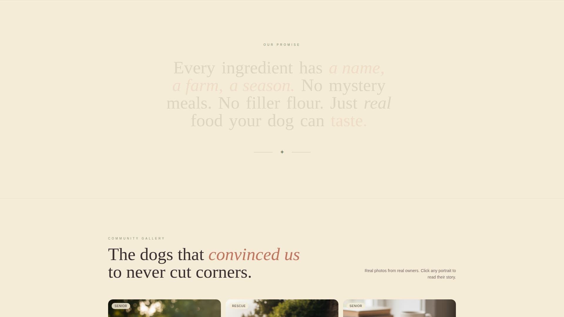 Kibble - Artisan Petfood Landing Page Template