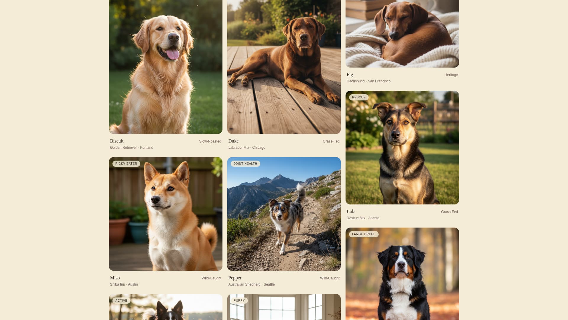 Kibble - Artisan Petfood Landing Page Template