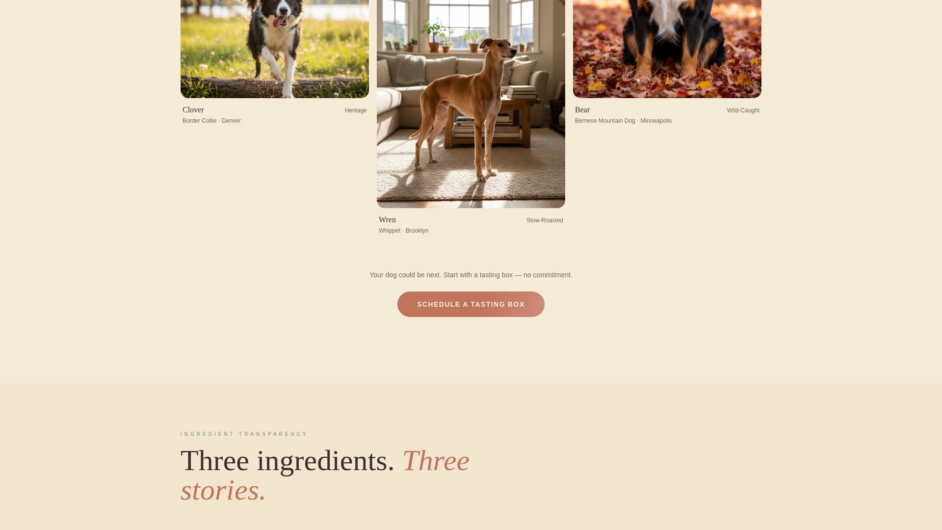 Kibble - Artisan Petfood Landing Page Template