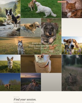 Fetch - Soulful Petphotography Landing Page Template