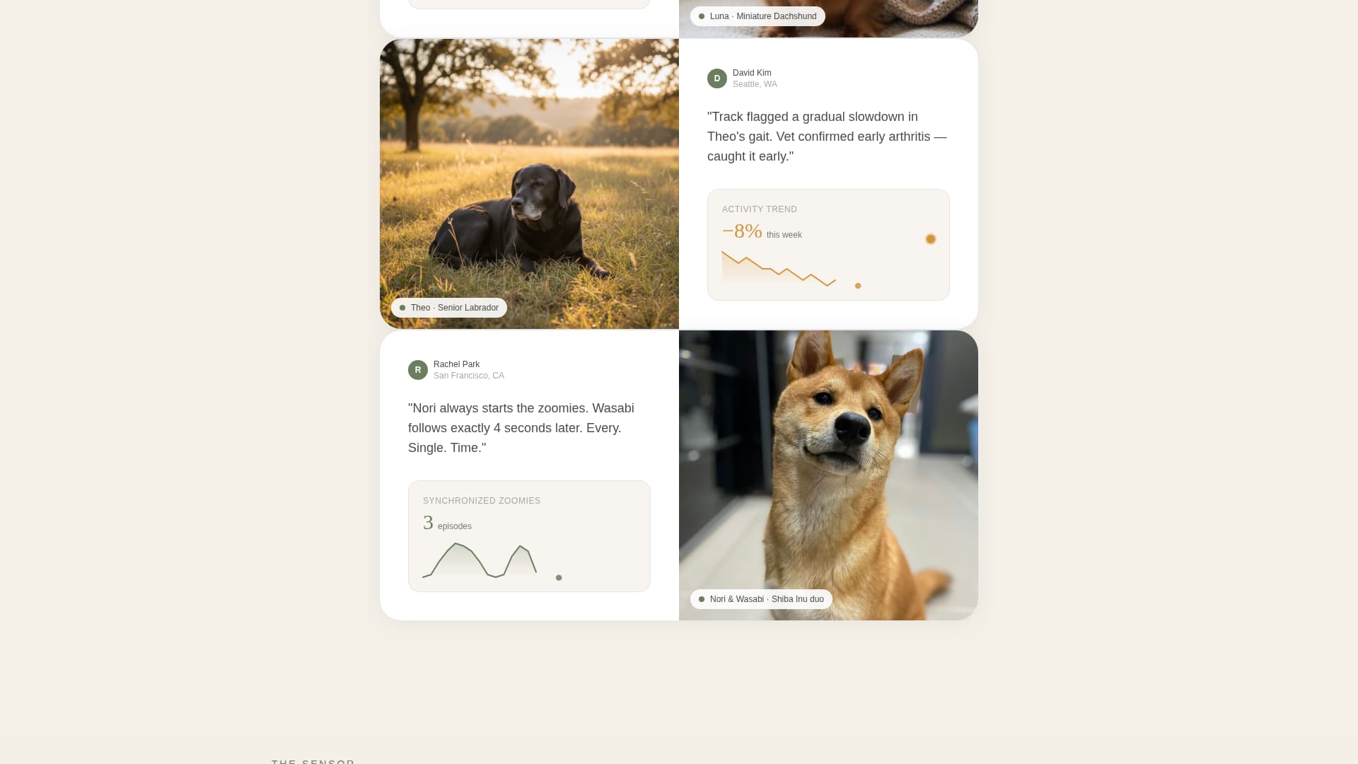 Track - Heartbeat Pettech Landing Page Template